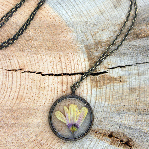 Montana Wildflower Living Locket with Branch Frame
