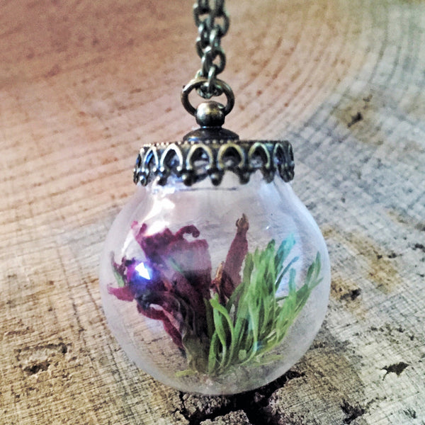 Montana Wildflower and Pine Terrarium Necklace