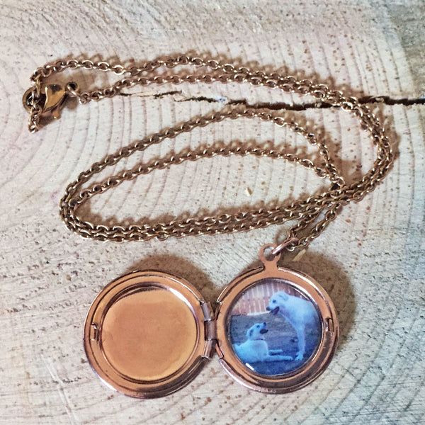 Small Photo Locket Tiny Custom Photo Locket – Warbles with Bella