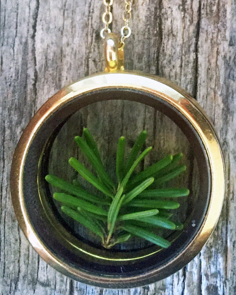 Montana Pine Living Locket