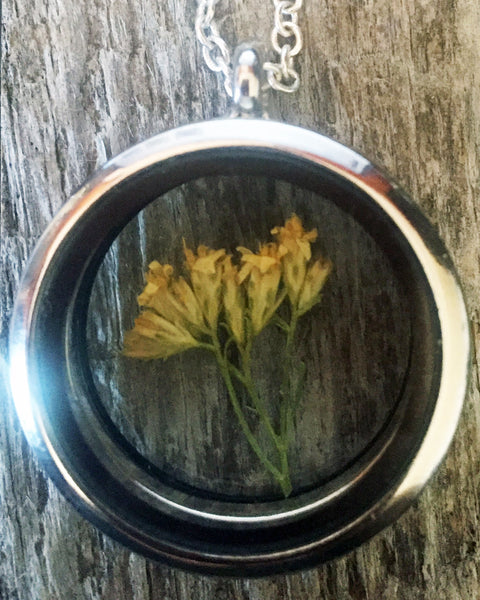 Montana Pine Living Locket